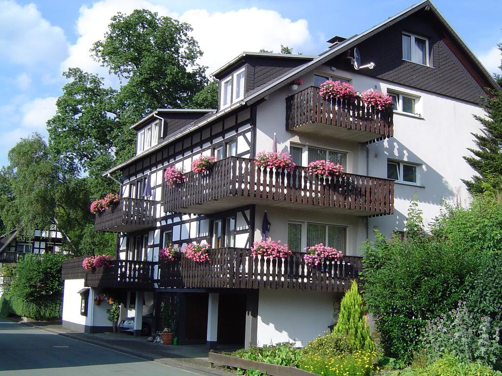 Ferienhaus Hedrich Assinghausen Zewnętrze zdjęcie